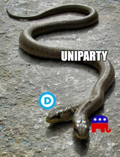 FB_IMG_1752439884803