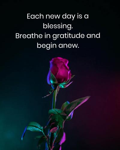 513872555_1253287443066746_8385436364030545962_n