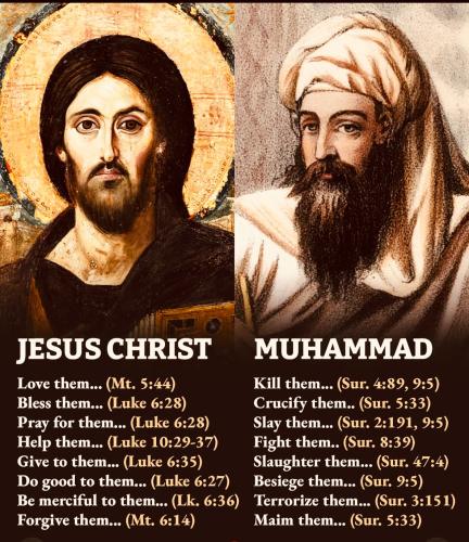 8C049A68-D864-4778-9EC1-DB6007347CDA