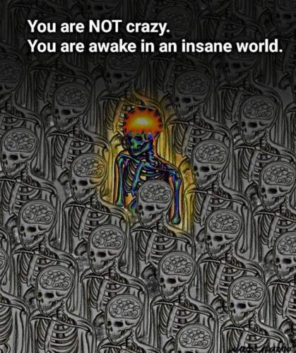 3db7eec9ae586758e9580472226eb5dd