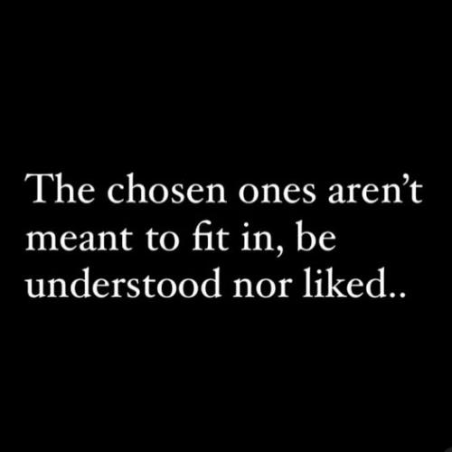 523799073_18087406720743222_5305879472481737246_n