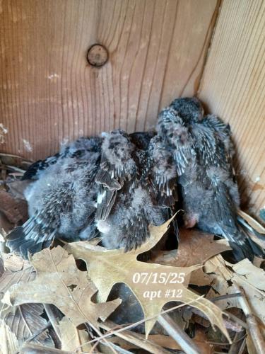 4abe5bc1-cfdb-4bf2-89ec-d420f82bc3cc