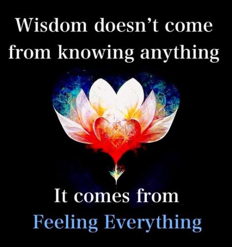 517219775_24298690386383848_1055888165063218907_n