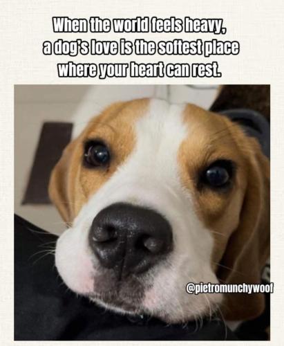 d56dac38f5e74175c0a8d88d6b25abc2