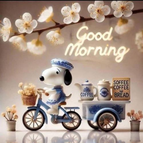 82dbd49706bbc5f87e467ea53756cce6