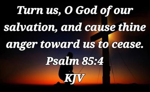 6c6dc516-7118-4722-a920-559ca9b8a8ca