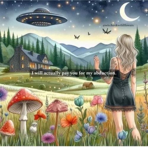 photo_2025-07-11_18-54-24