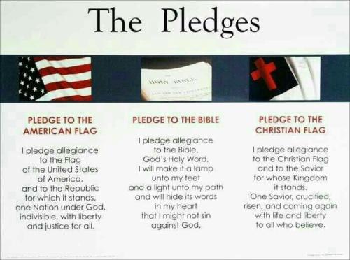 pledge 21