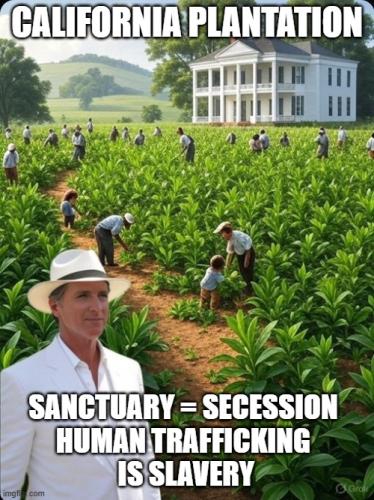 Progressive Plantation 2