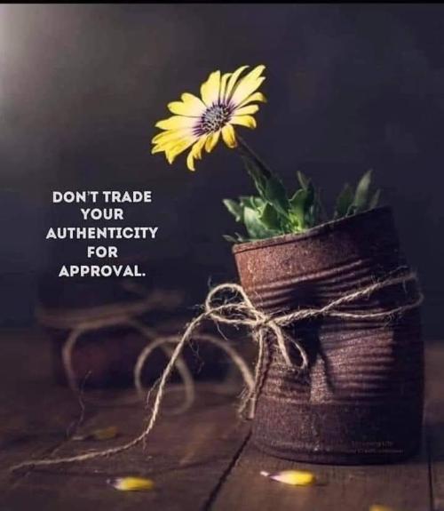 FB_IMG_1749159528196