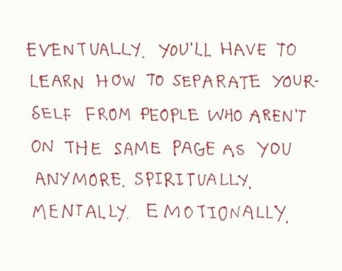 517349342_23915491478093764_6983622911854941012_n