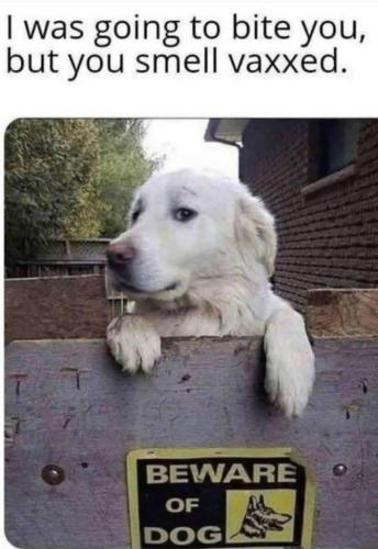 5B2E2247-47B5-4E53-A878-D166E90B7C71