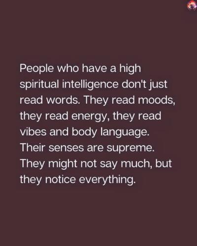 538391816_122237419982172210_7558829484587530859_n