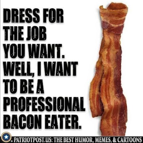 01K33KYWV4PN4YXE3P673QSWWD