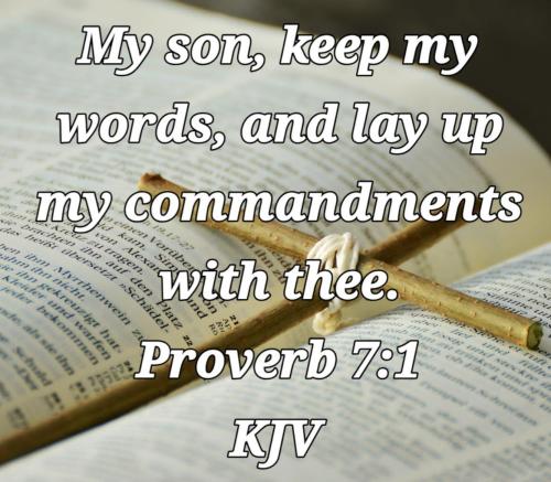 e4a6adfc-4054-45ce-9e8e-5f6e2243f425