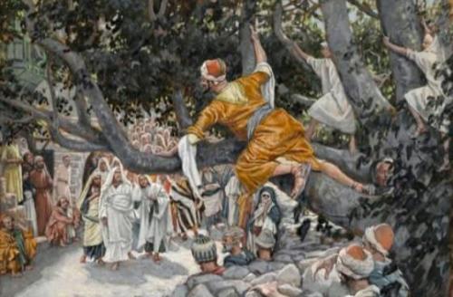 91e34fe8-23c2-44fb-b50c-1f8534daba78