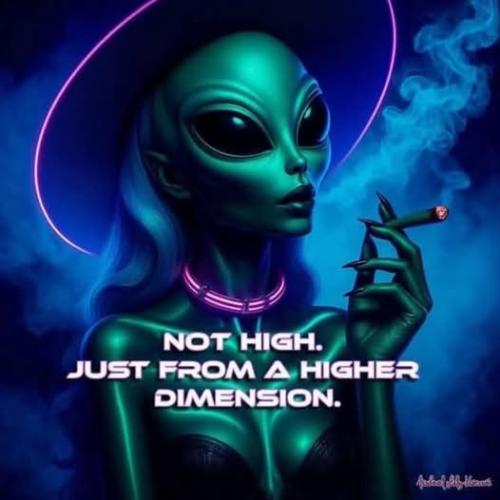 538908196_778933708356157_3262455663661721209_n