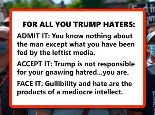 1e9fe259abf0804b49dc3682b6ec920d_768x0