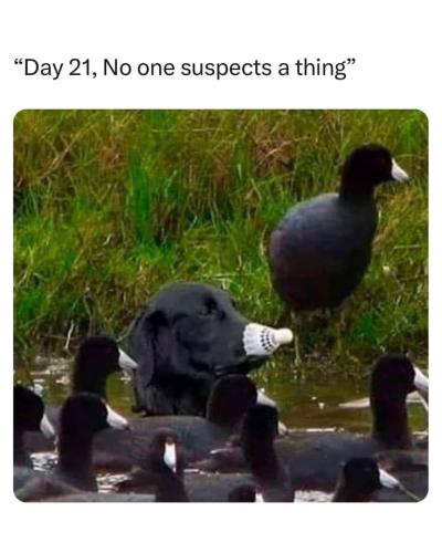 32c98817a3e8ecb35f18976a9e7c18ed