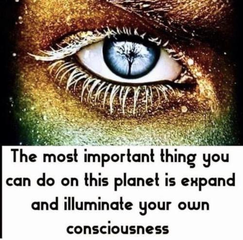 7558133817c5bb8421d87228bac5ab88