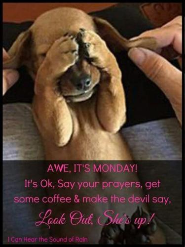 56e25d7526194d3366e3ade097907051