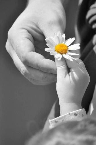 609ce72479cf3df69659c5e194026ff0