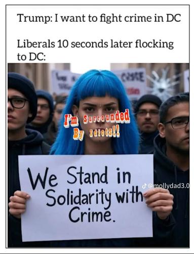 Screenshot_20250818_094514_Wimkin Free Speech Social Media