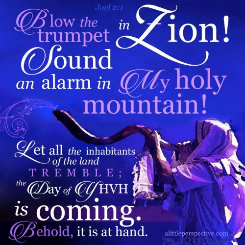 joe-2-1-notrace-9x-SP