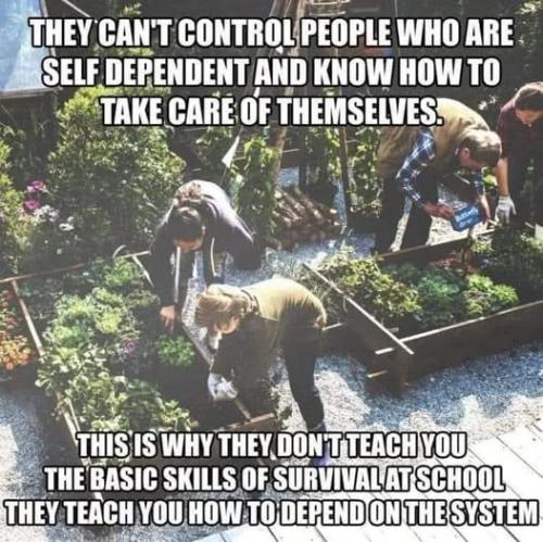 533166265_24469788102658657_4511817030374438804_n