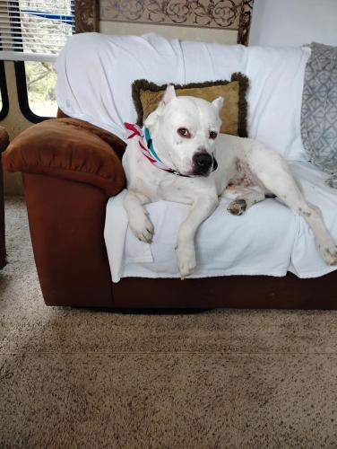 IMG_20250402_142742205