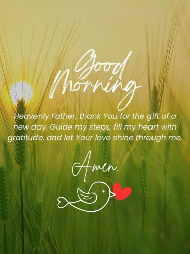 518342682_771237755410573_6120596141643213720_n