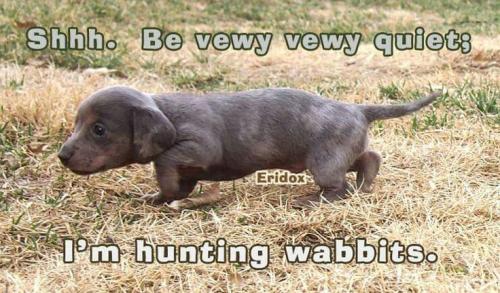 2a4bdc5c08b7362e6f38287b47c04ddb