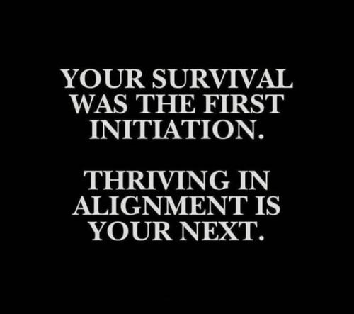 535032451_775932565322938_3265207286790010676_n