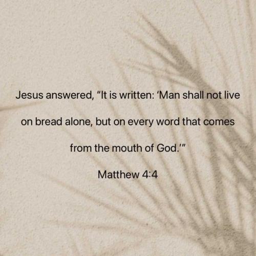 527531863_1150926780391228_1852460698231776594_n