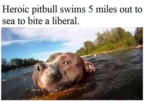 Low-img - 2025-08-26T201722.964-recover v2-1x