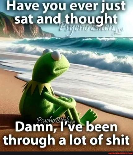 e98646f585b953bd82ed9b4429e0423a6a71c1b53c4f9ac58a169abca2914dea_1