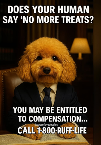 Screenshot 2025-08-03 081727