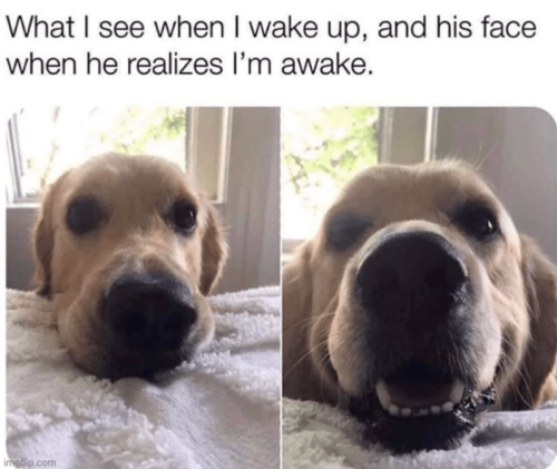 see-wake-up-and-his-face-he-realizes-awake-imgflipcom