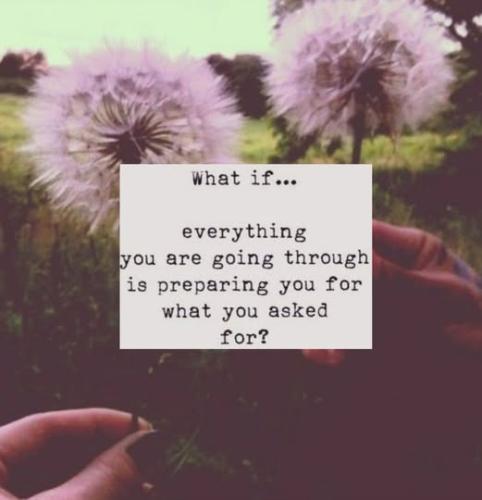 538379232_1327157725792703_4632623740636326319_n