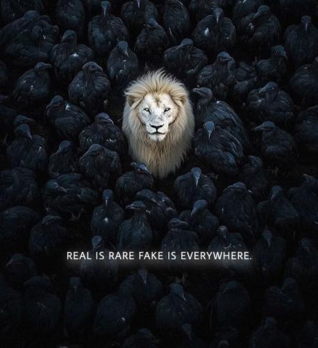 41cee35c7b5de916c82f490084be8a7f