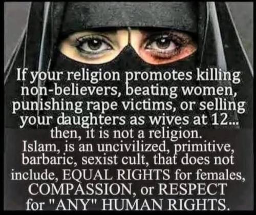 536566923_25089270613992766_4437528589717687744_n