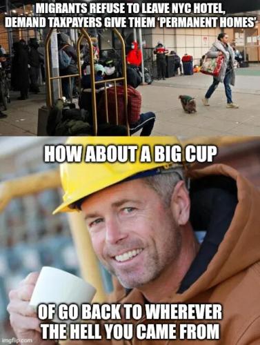 ILLEGAL ALIENS HOTELS