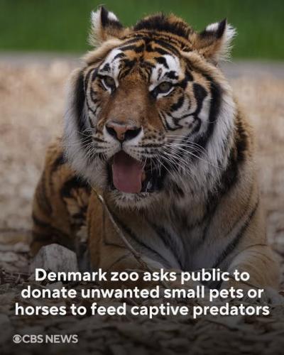 527872531_1155700613088448_4518575510136948992_n