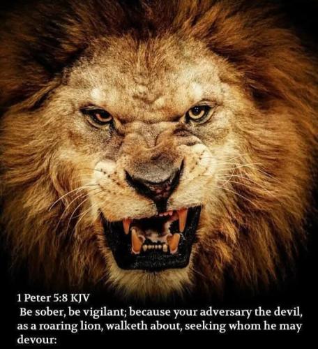 3c91a268-bdca-43e0-a322-e4c4dcff9c41