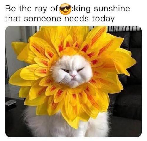 540850032_122225089400088259_5571693503585886984_n