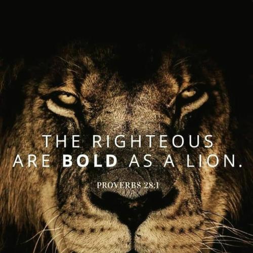 6c1cb0d67149fd0ddfdb7bb163bb3082