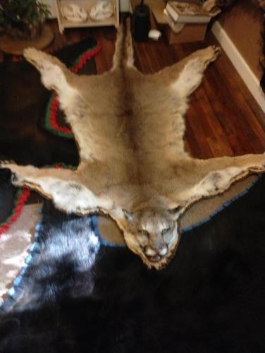 IMG_20250827_160242851