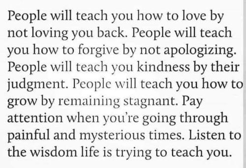 515075124_763701473212714_3891727603247334200_n