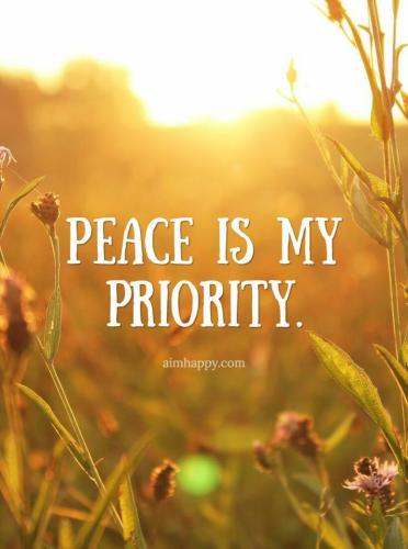 838c6c95481429e3d1b8167072a02c7e