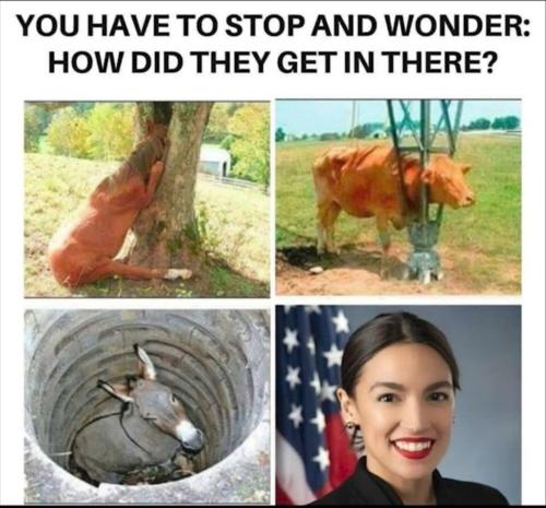 Screenshot_20250901-032952_YouTube